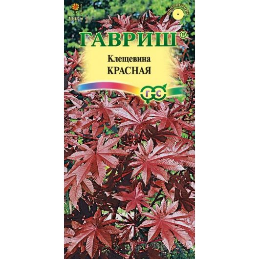 Клещевина Красная  5 шт.