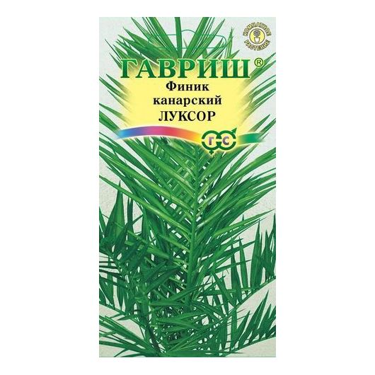 Финик канарский Луксор 2 шт.