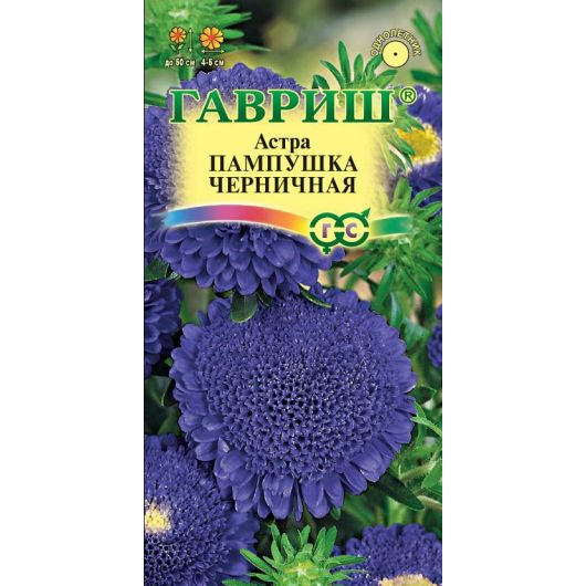 Астра Пампушка черничная, однолетняя (помпонная) 0,3 г