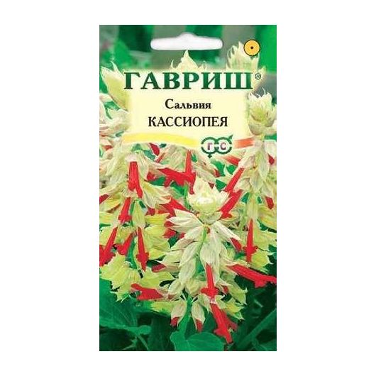 Сальвия Кассиопея*, карликовая  4 шт.