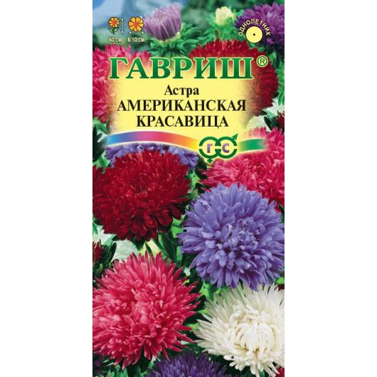 Астра Американская красавица, однолетняя (смесь) густомахровая 0,3 г