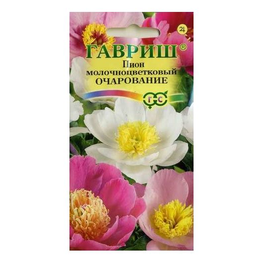 Пион молочноцветковый Очарование 3 шт