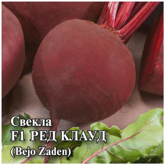 Свекла Ред Клауд F1 10,0 г (Голландия)