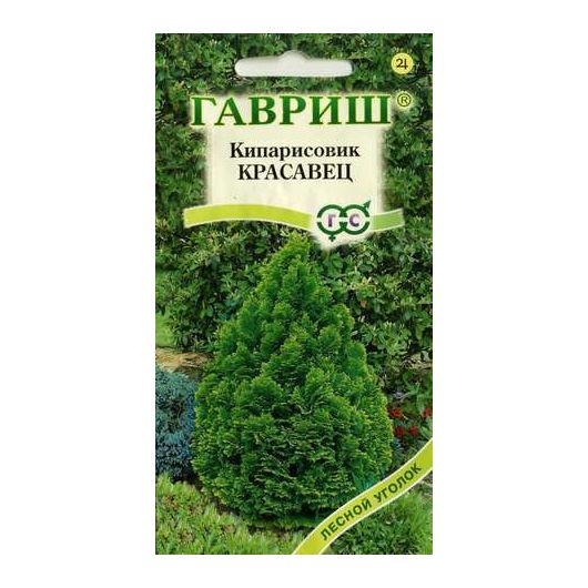 Кипарисовик тупой Красавец*  0,1 г