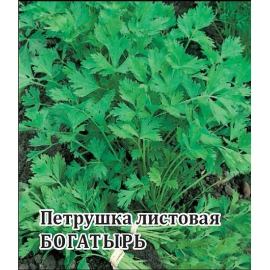 Петрушка универсальная Богатырь 50,0 г