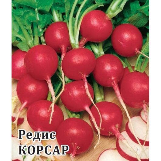 Редис Корсар 50,0 г