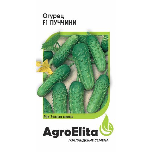 Огурец Пуччини F1 5 шт. партен. (Райк Цваан) Агроэлита