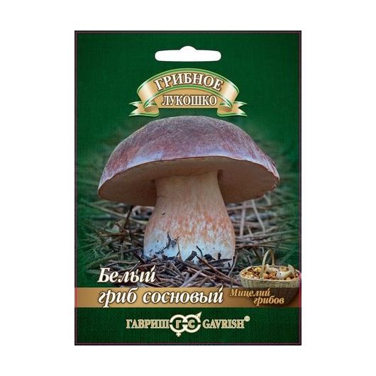Белый гриб Сосновый на зерновом субстрате, больш. пак. 15 мл