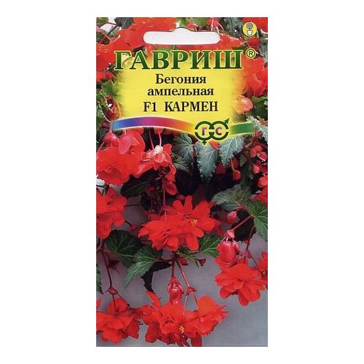 Бегония ампельная Кармен F1 клубневая, гранул. 5 шт. пробирка