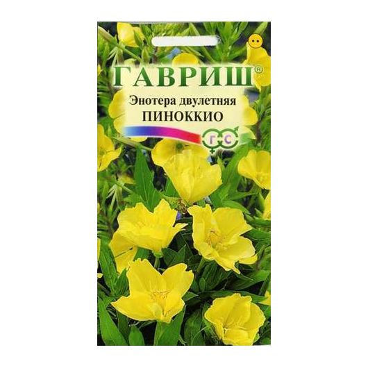 Энотера двулетняя Пиноккио 0,3 г