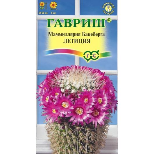 Маммиллярия Бакеберга (Кактус) Летиция 2 шт.