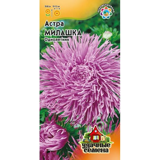 Астра Милашка, однолетняя (коготковая, лиловая) 0,3 г Удачные семена