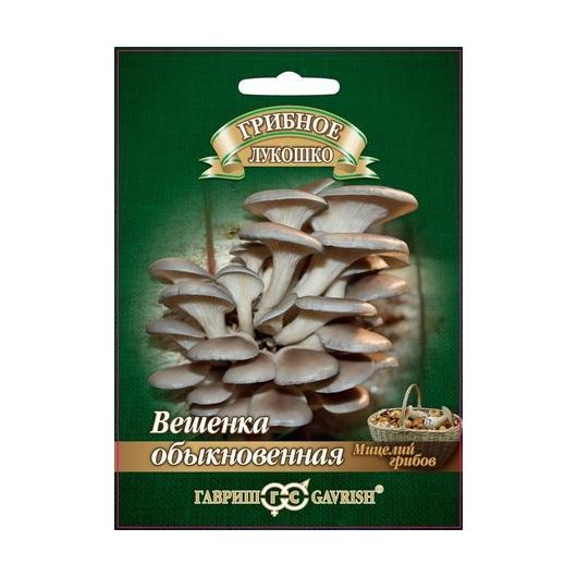 Вешенка Обыкновенная на древесной палочке, больш. пак. 12 шт