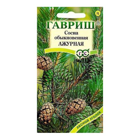 Сосна обыкновенная Ажурная* 0,2 г