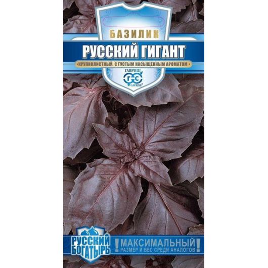 Базилик Русский гигант, фиолетовый 0,1 г серия Русский богатырь