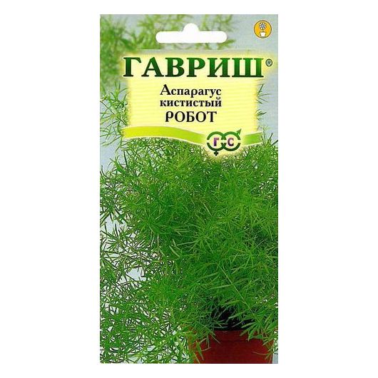 Аспарагус Робот (кистистый) 0,2 г