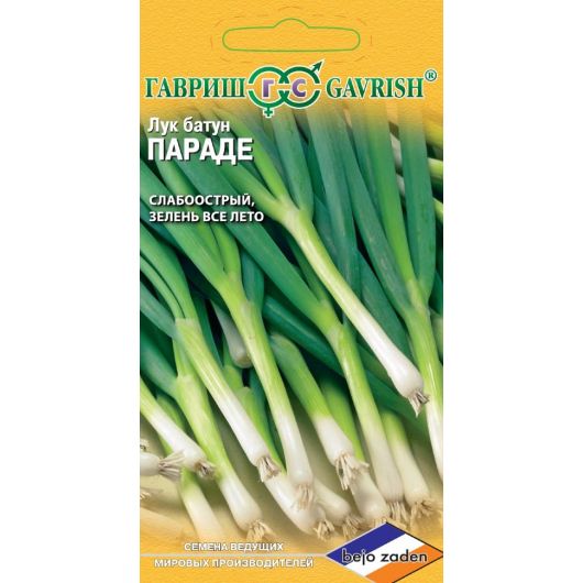 Лук батун Параде  0,2 г на зелень! (Голландия)