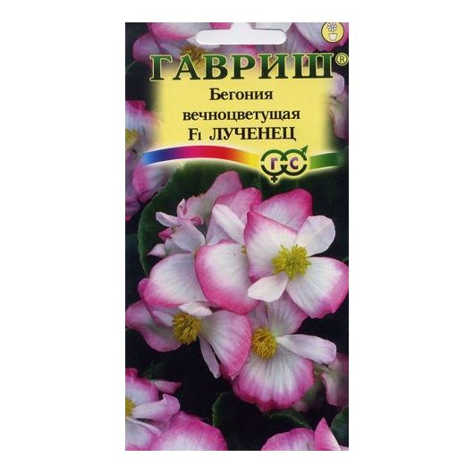 Бегония Лученец F1 вечноцв. гранул. 5 шт. пробирка