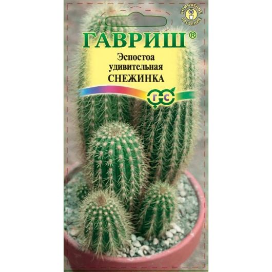 Эспостоа удивительная Снежинка 4 шт.