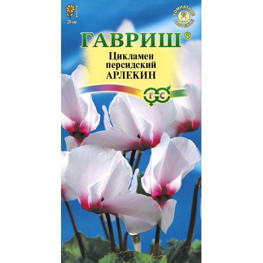 Цикламен Арлекин персидский* 3 шт.