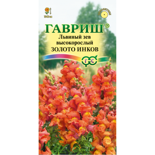 Львиный зев (Антирринум) Золото инков* 0,05 г