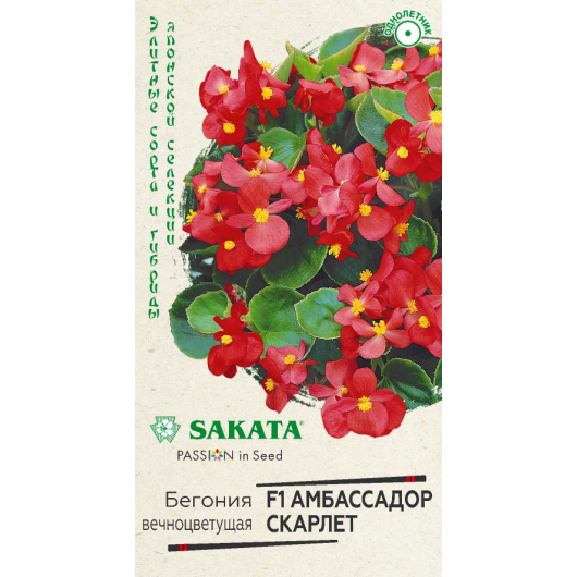Бегония Амбассадор Скарлет F1 вечноцв. 4 шт. пробирка Саката серия Элитная клумба