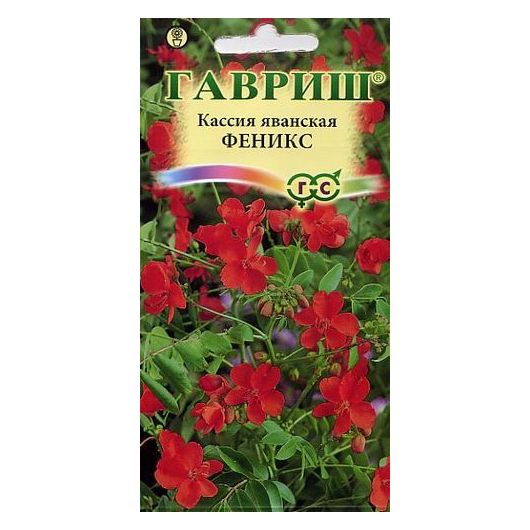 Кассия Феникс, яванская 3 шт.