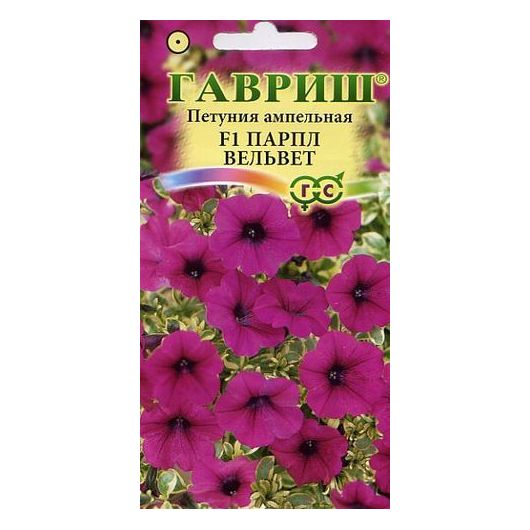 Петуния Парпл Вельвет (Сурфиния) амп. 4 шт. пробирка