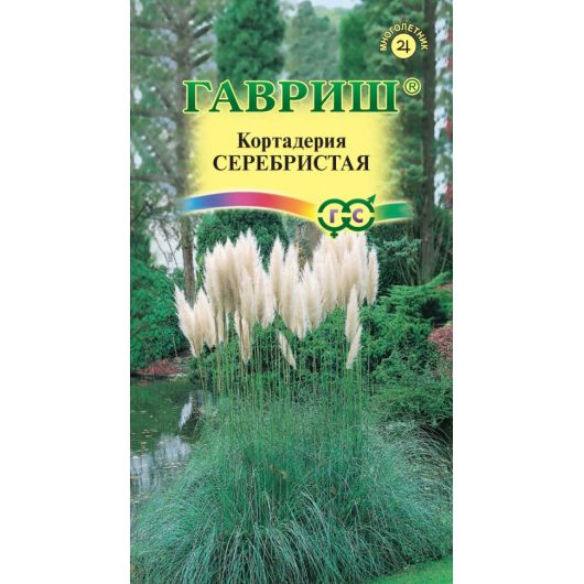 Кортадерия Серебристая (Пампасная трава)* 8 шт.