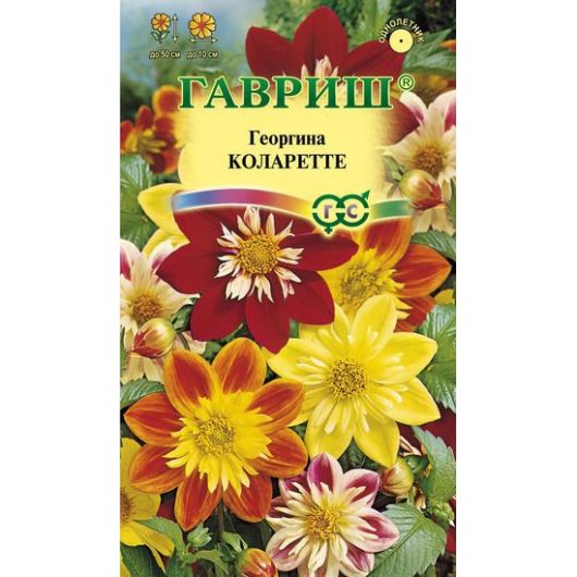 Георгина Коларетте  0,2 г