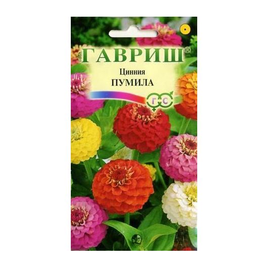 Цинния Пумила, махровая раннецветущая, смесь 0,5 г