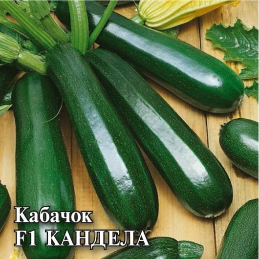 Кабачок Кандела F1 100 шт. (Саката)