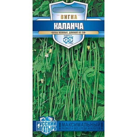 Вигна Каланча 10 шт. серия Русский богатырь