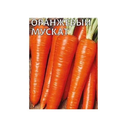 Морковь на ленте Оранжевый мускат 8 м