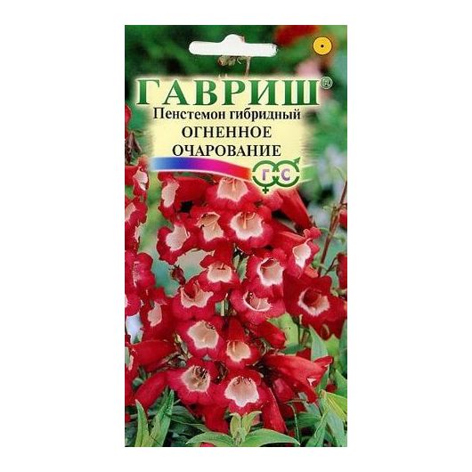 Пенстемон гибридный Огненное очарование* 0,1 г