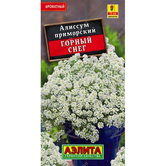 Алиссум Горный снег 0,1 г Аэлита