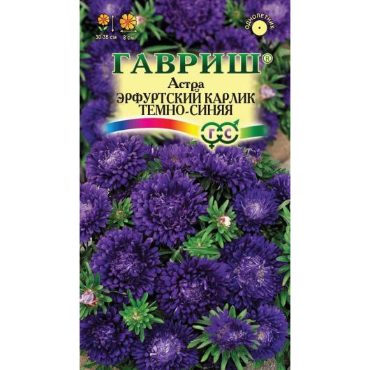 Астра Эрфуртский карлик Темно-синяя, однолетняя, 0,3 г
