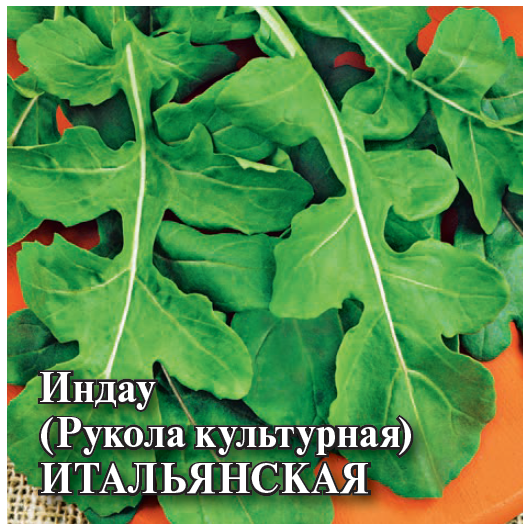 Индау (рукола культурная) Итальянская 25,0 г