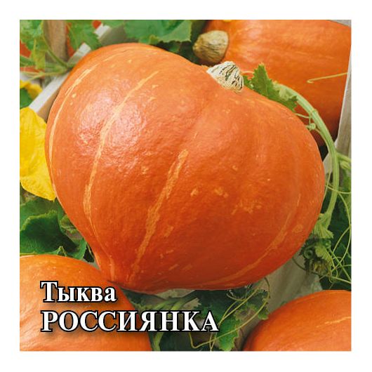 Тыква Россиянка 25,0 г