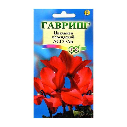 Цикламен Ассоль персидский* 3 шт.