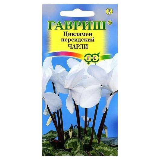 Цикламен Чарли персидский* 3 шт.