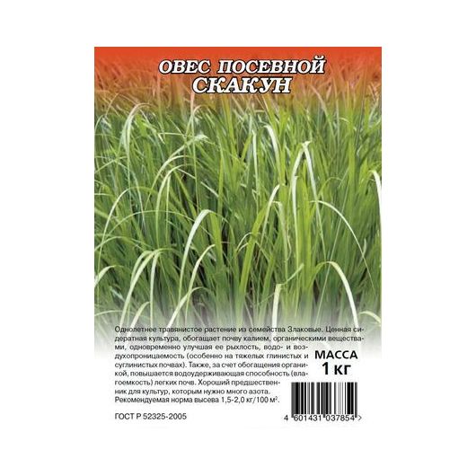 Овес посевной Скакун 1 кг