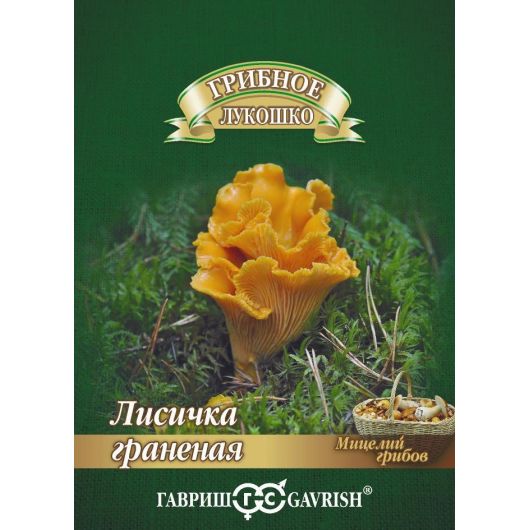 Лисичка Граненая на зерновом субстрате, больш. пак. 15 мл