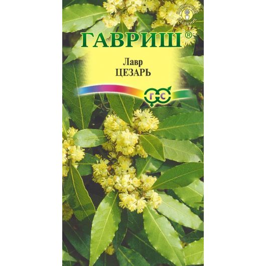 Лавр благородный Цезарь 3 шт