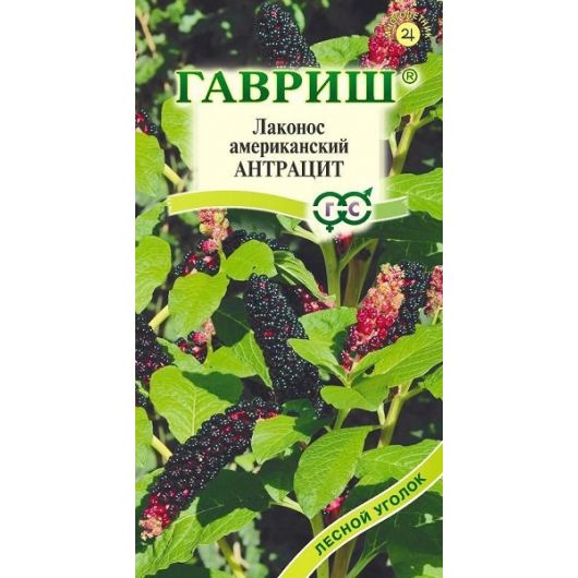 Лаконос американский Антрацит 0,1 г