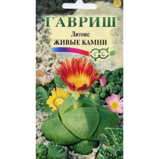 Литопс Живые Камни 5 шт. пробирка