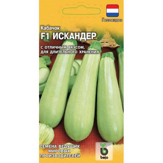 Кабачок Искандер F1 5 шт. (Голландия)