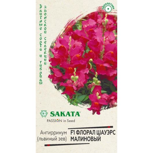 Львиный зев (Антирринум) Флорал Шауэрс малиновый F1 7 шт. Саката серия Элитная клумба