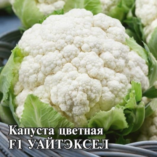 Капуста цветная Уайтэксел F1 100 шт. (Саката)