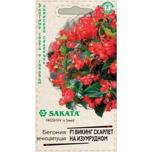 Бегония Викинг Скарлет на изумрудном F1, гибрид. гранул. 4 шт. проб. Саката сер. Элитная клумба